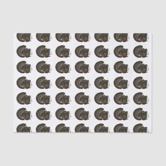 Türkei Bronze Tom Seidenpapier (Vorderseite)