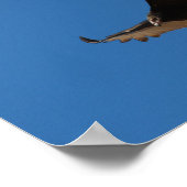 Türkei-Buzzard im Flug Poster (Ecke)