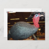 Türkei-Decoy Postkarte (Vorne/Hinten)