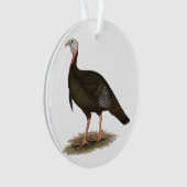 Türkei: Eastern Wild Tom Ornament (Vorderseite)