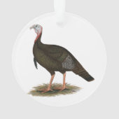 Türkei: Eastern Wild Tom Ornament (Rückseite)