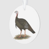 Türkei: Eastern Wild Tom Ornament (Vorderseite)