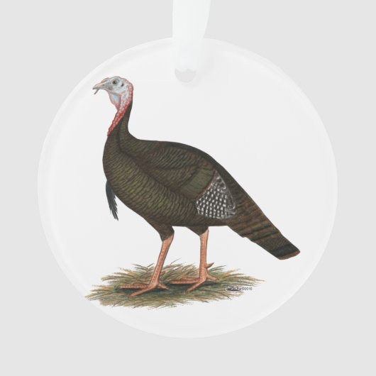 Türkei: Eastern Wild Tom Ornament (Vorderseite)