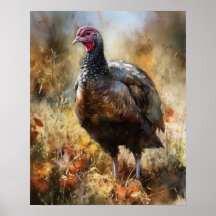 Türkei Farm Animal Art Print Poster