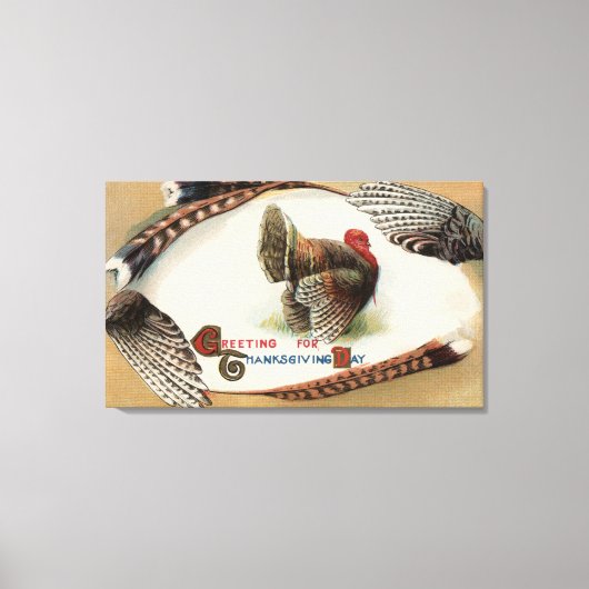 Türkei Feathers Leinwanddruck (Vorderseite)