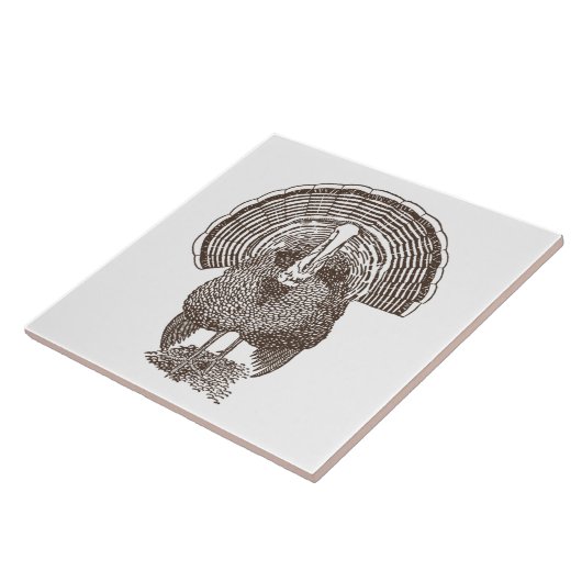 Türkei Fliese (Seite)