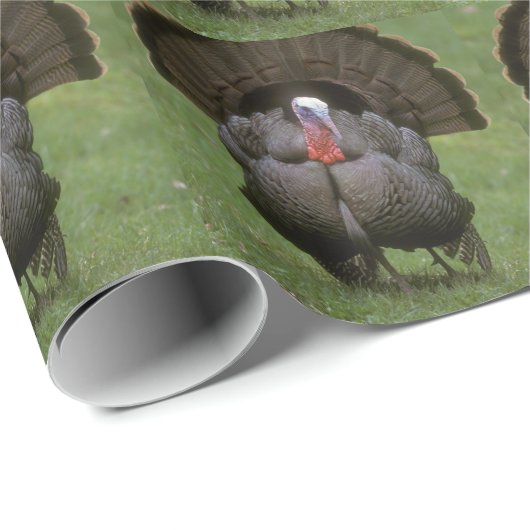 Türkei Geschenkpapier (Rolleneckpunkt)