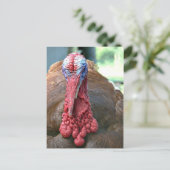 Türkei-Gesicht Feiertagspostkarte (Stehend Vorderseite)