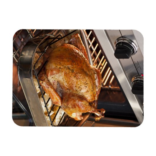 Türkei im Ofen Magnet (Horizontal)