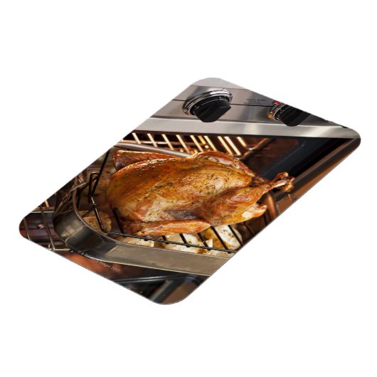 Türkei im Ofen Magnet (Linke Seite)