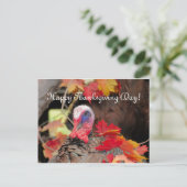 Türkei in Blätter Erntedank Tag Feiertagspostkarte (Stehend Vorderseite)