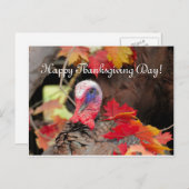 Türkei in Blätter Erntedank Tag Feiertagspostkarte (Vorne/Hinten)