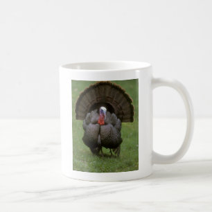 Türkei Kaffeetasse