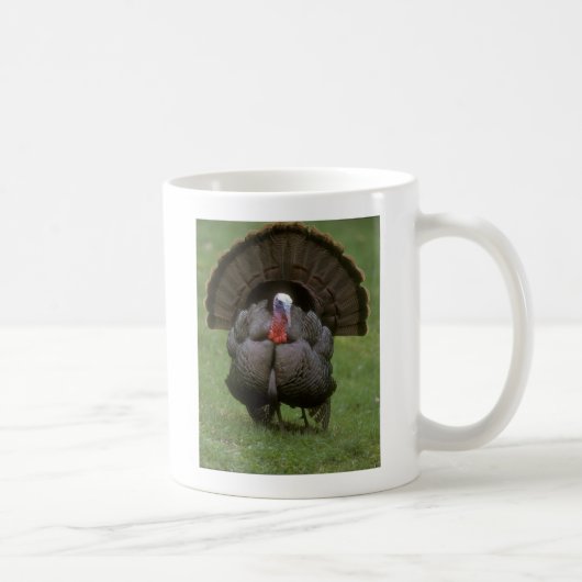 Türkei Kaffeetasse (Rechts)