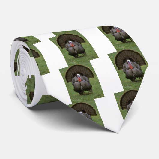 Türkei Krawatte (Gerollt)