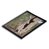 Türkei Lauf Staat Park, Hallow Tree Notizblock (Linke Seite)