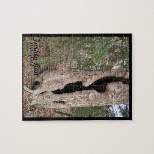 Türkei Lauf Staat Park, Hallow Tree Puzzle (Horizontal)