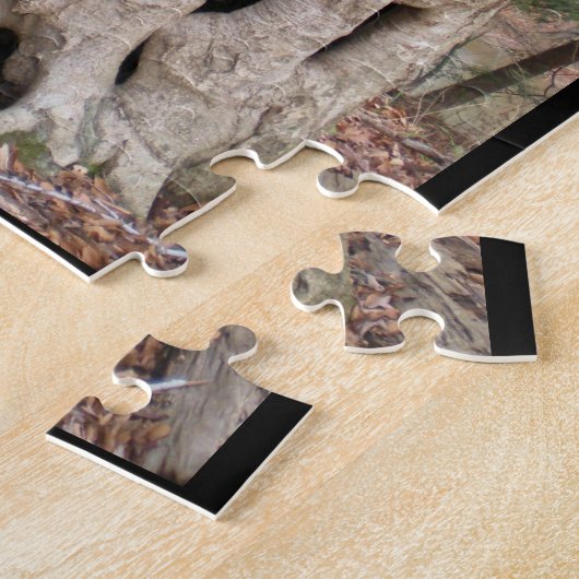Türkei Lauf Staat Park, Hallow Tree Puzzle (Seite)