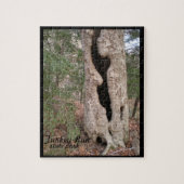 Türkei Lauf Staat Park, Hallow Tree Puzzle (Vertikal)