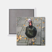 Türkei Magnet (Vorderseite/Rückseite)