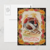 Türkei Maisschock Stalk Pumpkin Indianerkorn Postkarte (Vorne/Hinten)