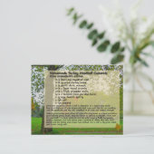 Türkei Meatball Casserole Postcard Postkarte (Stehend Vorderseite)