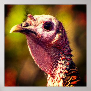 Türkei Nah und persönlich 24 x 24 Poster