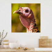 Türkei Nah und persönlich 32 x 32 Poster (Küche)