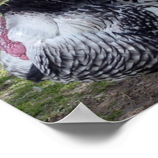 Türkei Poster Print (Ecke)