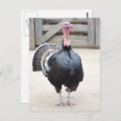 Türkei Postkarte (Vorne/Hinten)