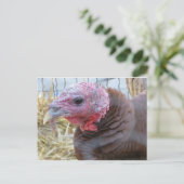 Türkei Postkarte (Stehend Vorderseite)