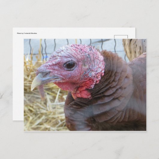 Türkei Postkarte (Vorne/Hinten)