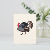 Türkei Postkarte (Stehend Vorderseite)