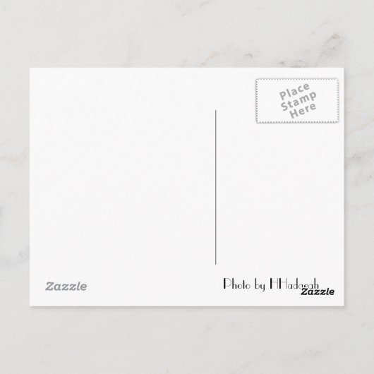 Türkei Postkarte 2 (Rückseite)