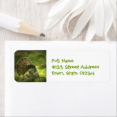 Türkei Postmarken (Insitu)