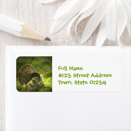 Türkei Postmarken (Insitu)