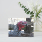 Türkei-Profil Postkarte (Stehend Vorderseite)