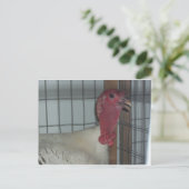 Türkei-Profil Postkarte (Stehend Vorderseite)