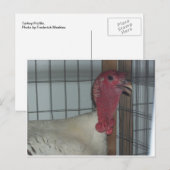 Türkei-Profil Postkarte (Vorne/Hinten)