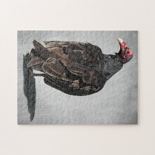 TÜRKEI PUZZLE (Horizontal)