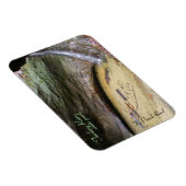 Türkei Run Staat Park, Punch Bowl Magnet (Rechte Seite)