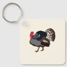 Türkei