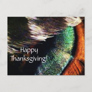 Türkei Schwanz Feathers Art Foto Happy Thanksgivin Feiertagspostkarte