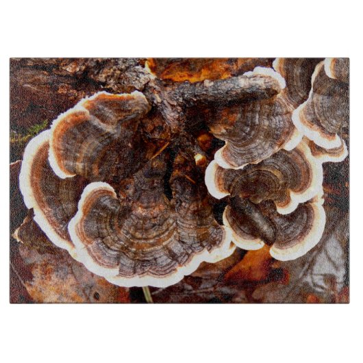Türkei Schwanz Fungi Glass Chopping Board Schneidebrett (Vorderseite)