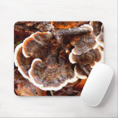 Türkei Schwanz Fungi Mouse Mat Mousepad (Mit Mouse)