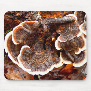 Türkei Schwanz Fungi Mouse Mat Mousepad