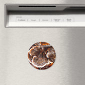 Türkei Schwanzes Mushroom Magnet (In Situ (Geschirrspüler))