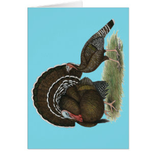 Türkei Standard Bronze