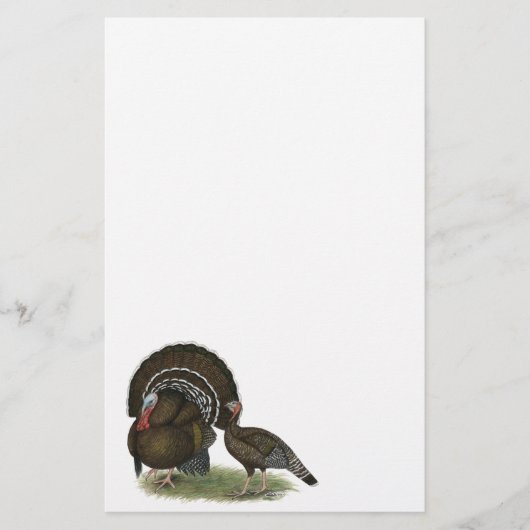 Türkei Standard Bronze Briefpapier (Vorderseite)