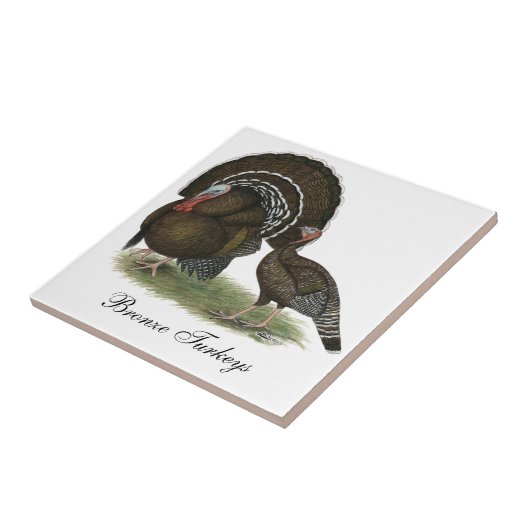 Türkei Standard Bronze Fliese (Seite)